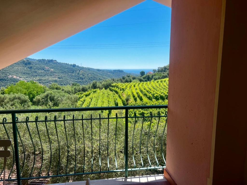 Diano Borello Agriturismo Ada Musso Ss מראה חיצוני תמונה