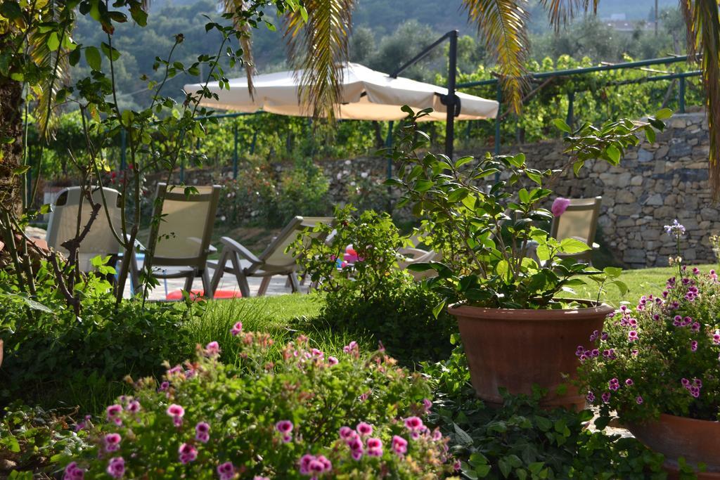 Diano Borello Agriturismo Ada Musso Ss מראה חיצוני תמונה