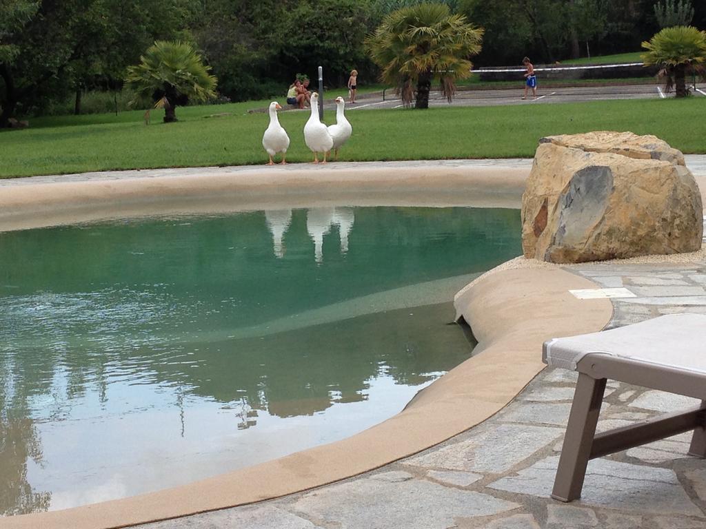 Diano Borello Agriturismo Ada Musso Ss מראה חיצוני תמונה