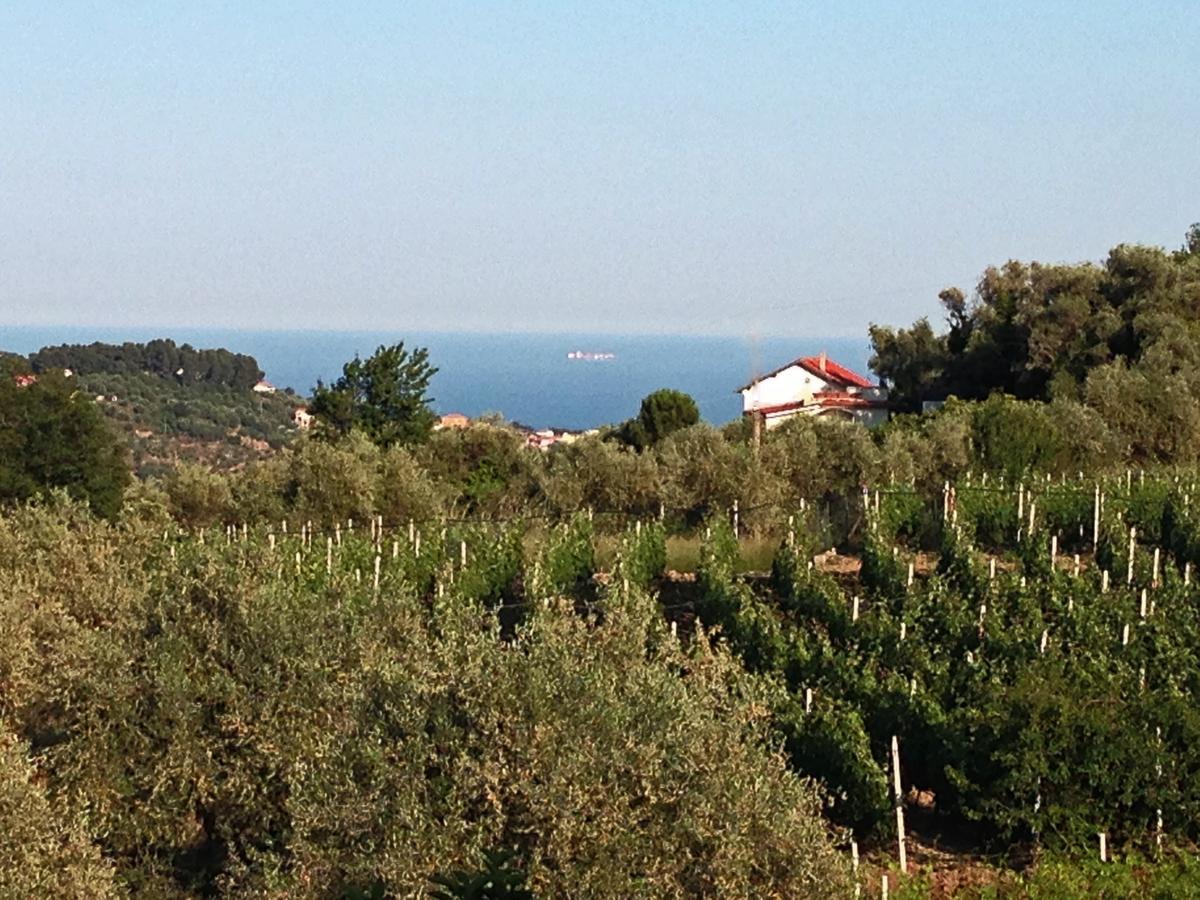 Diano Borello Agriturismo Ada Musso Ss חדר תמונה