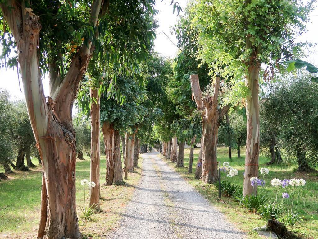Diano Borello Agriturismo Ada Musso Ss מראה חיצוני תמונה